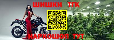 шишки Татарск