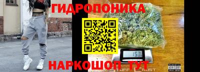 хмурый Тара