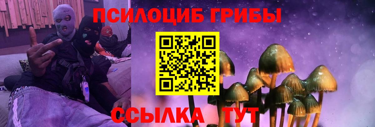 Нурлат  Галлюциногенные грибы мицелий  Вход с VPN 